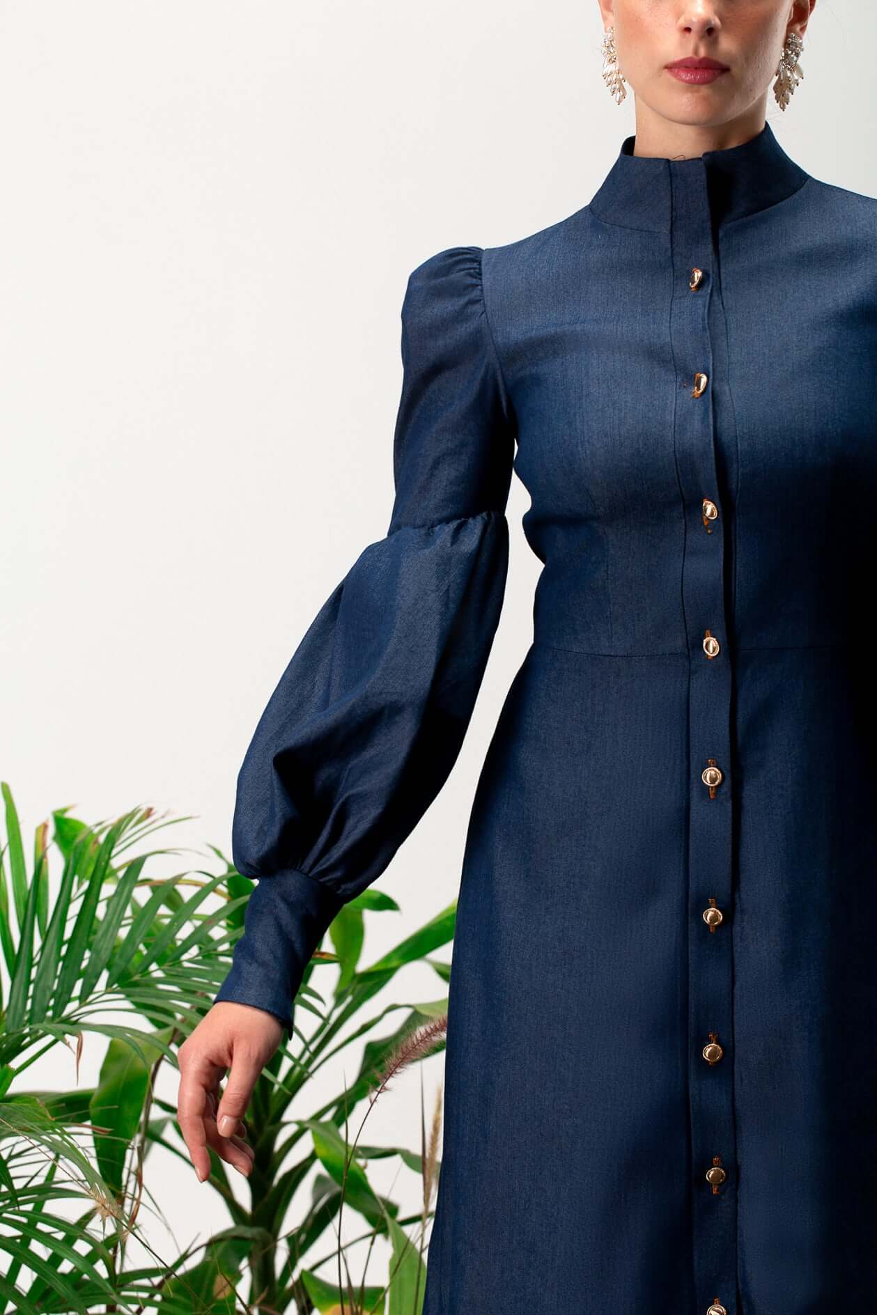 Aveline long sleeves maxi dress